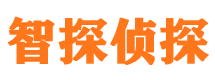 郊区侦探公司